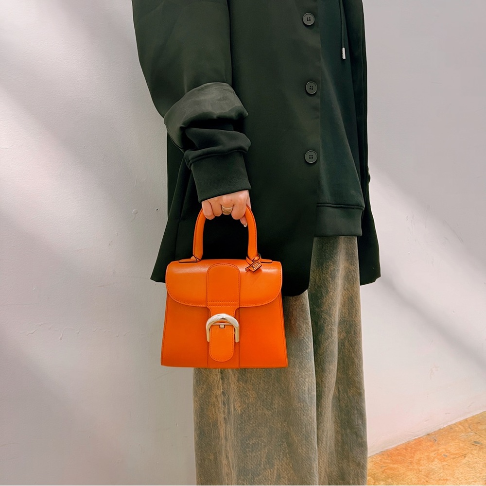 Delvaux Brillant MM Mandarine Handbag